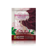 BEAUTILOVE BUBBLEY HAIR COLOR