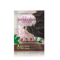 BEAUTILOVE BUBBLEY HAIR COLOR